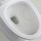Podłogowe wydłużone toalety łazienkowe z czystymi liniami i niskim profilem