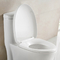 Podłogowe wydłużone toalety łazienkowe z czystymi liniami i niskim profilem