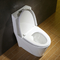Górny przycisk spłukiwania Kompaktowy, wydłużony, syfoniczny podwójny system spłukiwania toalety