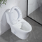 Odm Dual spłukiwana wydłużona toaleta z bocznymi otworami w standardzie amerykańskim