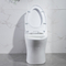 Ceramiczna jednoczęściowa toaleta Samoczyszcząca się przeszklona powierzchnia 1,6 Gpf Wydłużona toaleta