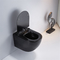 Cicha toaleta naścienna Kompaktowa podwójna szafa na wodę do spłukiwania z wygodną wysokością siedziska