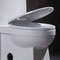 Kompaktowa jednoczęściowa toaleta z mapą spłukiwania bocznego 1000 American Standard 1 szt. Toaleta