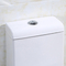 1.0 Gpf Ceramiczna amerykańska standardowa jednoczęściowa podwójna toaleta do spłukiwania