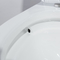 28 &quot;1.28 Gpf Podwójna jednoczęściowa toaleta do spłukiwania 10-calowa szorstka w amerykańskim standardzie