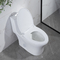 28 &quot;1.28 Gpf Podwójna jednoczęściowa toaleta do spłukiwania 10-calowa szorstka w amerykańskim standardzie