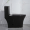 Iapmo Łazienki Toalety Matowa czerń 1 sztuka Podwójna toaleta do spłukiwania Wydłużona ceramika syfoniczna