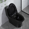 Iapmo Łazienki Toalety Matowa czerń 1 sztuka Podwójna toaleta do spłukiwania Wydłużona ceramika syfoniczna