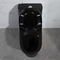 300mm jednoczęściowa toaleta syfonowa American Standard Black Porcelain