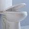 10-calowa szorstka w Ada Komfortowa wysokość Syfon toaletowy Spłukiwanie toalety Okrągły przód