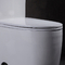21-calowa toaleta Ada Comfort Wysokość 1,6 Gpf Jednoczęściowa komoda porcelanowa wysoka