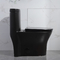 OVS 1 sztuka Komfortowa toaleta Podwójny spłukiwanie Łatwe wycieranie powierzchni Dziedzictwo