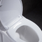 ADA Jednoczęściowa, wydłużona, komfortowa toaleta na wysokość American Standard, biała