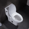 Podwójna, wydłużona, jednoczęściowa toaleta z miękkim zamykaniem siedziska 1,28 gpf / 4,8 lpf