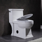 Ceramiczna Ada Jednoczęściowa toaleta Toaleta Toaleta Kompaktowa Wydłużona