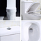 Białe łazienki Toalety Pojedyncza spłuczka Wydłużona jednoczęściowa muszla klozetowa Syfon