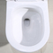 Białe łazienki Toalety Pojedyncza spłuczka Wydłużona jednoczęściowa muszla klozetowa Syfon