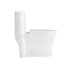 19-calowa toaleta Ada Comfort Height Wydłużona jednoczęściowa łazienka ceramiczna