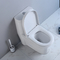 Komercyjne łazienki Ada Toalety dla osób niepełnosprawnych fizycznie