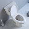 Wydłużona kompaktowa toaleta Ada 19 cali Potężny syfon dziurkacza o standardowej wysokości