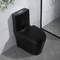 Jednoczęściowa, kompaktowa, wydłużona toaleta z podwójnym spłukiwaniem w kolorze matowej czerni z syfonem na krawędzi