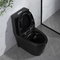 1,6 Gpf Matt Black Dual Flush Wydłużona jednoczęściowa toaleta American Standard