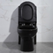 Niskoprofilowy amerykański standard jednoczęściowy wydłużony toaleta wysoki czarny 1,6Gpf