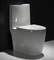Niskoprofilowa, jednoczęściowa, wydłużona toaleta Komoda W pełni przeszklona Syfon Jet Flush
