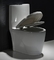 Niskoprofilowa, jednoczęściowa, wydłużona toaleta Komoda W pełni przeszklona Syfon Jet Flush