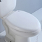 CUPC Biała czarna dwuczęściowa toaleta 1.28 GPF Zbiornik na wodę w szafie