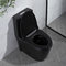 Jednoczęściowa, wydłużona toaleta z podwójnym spłukiwaniem i listwą trapezową, biała czarna 680 mm